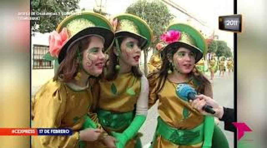 Mirada a carnavales pasados: Tembleque 2011