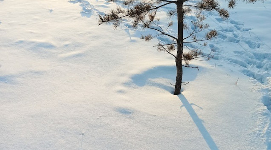 Consejos ante fuertes nevadas y vientos