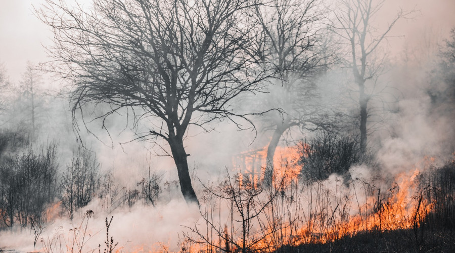 Activado parte del Plan INFOCAM ante el riesgo de incendios por la sequía y las altas temperaturas