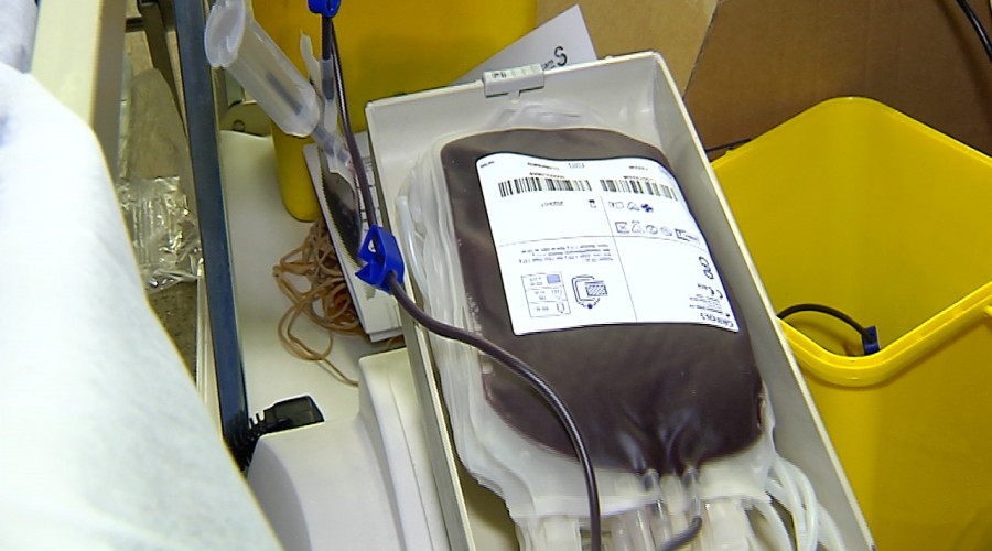 Maratón de donación de sangre