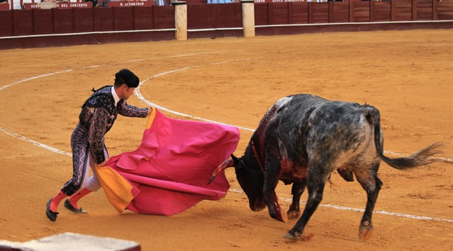 García-Page reivindica los toros como parte importante de España